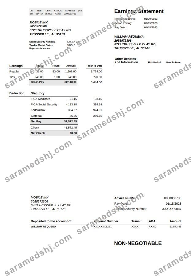 Mobie INK earnings statement